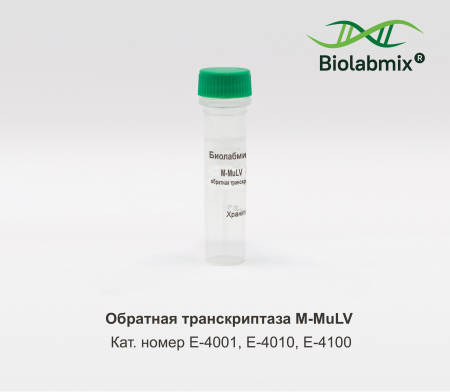 ОБРАТНАЯ ТРАНСКРИПТАЗА M-MULV
