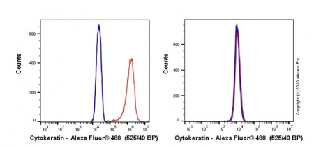 АНТИТЕЛА МОНОКЛОНАЛЬНЫЕ МЫШИНЫЕ RECOMBINANT ALEXA FLUOR® 488 ANTI-PAN CYTO, 100 МКЛ, ABCAM, AB277270