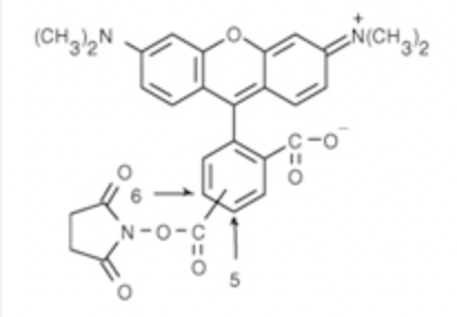5(6)-TAMRA, SE; 25 MG