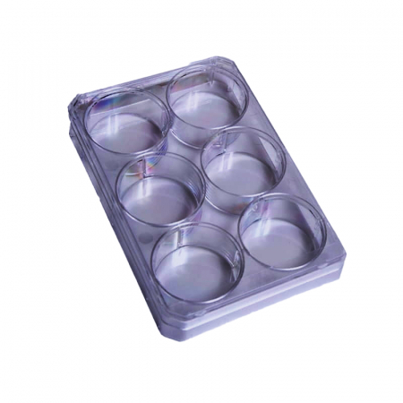 ПЛАНШЕТ 6-ЛУНОЧНЫЙ, ДЛЯ РАБОТЫ С АДГЕЗИВНЫМИ КУЛЬТУРАМИ КЛЕТОК, ПЛОСКОДОННЫЙ, С КРЫШКОЙ, СТЕРИЛЬНЫЙ, EPPENDORF 0030 720 113