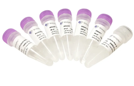 RIBO-OFF® НАБОР ДЛЯ ДЕПЛЕЦИИ РРНК (ЧЕЛОВЕК/МЫШЬ/КРЫСА), 24 РЕАКЦИИ, АРТ. N406-01, VAZYME BIOTECH CO., LTD