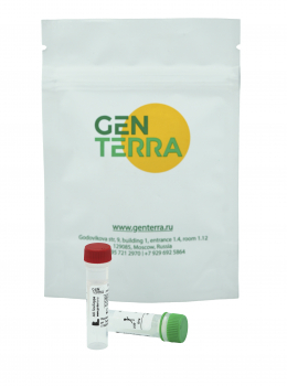НАБОР ДЛЯ ДЕТЕКЦИИ РНКАЗ GENTA RNASEALARM