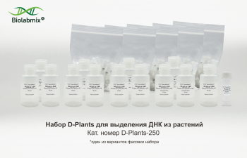 НАБОР ДЛЯ ВЫДЕЛЕНИЯ РНК НА КОЛОНКАХ (МОДИФИЦИРОВАННЫЙ), 250 РЕАКЦИЙ