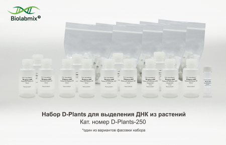 НАБОР ДЛЯ ВЫДЕЛЕНИЯ РНК НА КОЛОНКАХ (МОДИФИЦИРОВАННЫЙ), 250 РЕАКЦИЙ