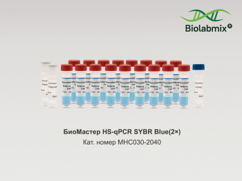 БИОМАСТЕР HS-QPCR SYBR BLUE(2?), 2040 РЕАКЦИЙ