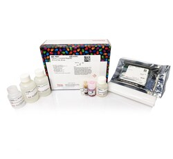 НАБОР PIERCE™ MAGNETIC CHIP, 30 РЕАКЦИЙ, АРТ. 26157, THERMO FISHER SCIENTIFIC