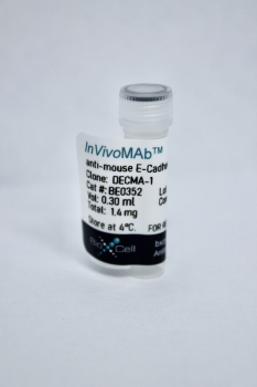МОНОКЛОНАЛЬНЫЕ АНТИТЕЛА К CD324 (E-CADHERIN), (DECMA-1), ALEXA FLUOR™ 488, EBIOSCIENCE™, 100 МКГ, АРТ. 53-3249-82, THERMO FISHER SCIENTIFIC