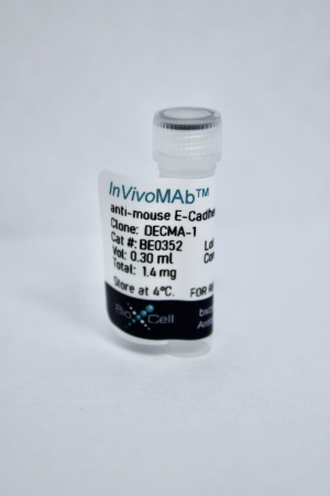 МОНОКЛОНАЛЬНЫЕ АНТИТЕЛА К CD324 (E-CADHERIN), (DECMA-1), ALEXA FLUOR™ 488, EBIOSCIENCE™, 100 МКГ, АРТ. 53-3249-82, THERMO FISHER SCIENTIFIC