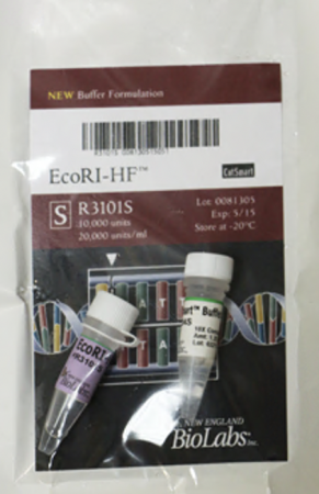 ДНК МОДИФИЦИРУЮЩИЙ ФЕРМЕНТ ЭНДОНУКЛЕАЗА РЕСТРИКЦИИ ECORI-HF™ (20 000 Е.А./МЛ, 10 000 Е.А.), АРТ. R3101 S, NEW ENGLAND BIOLABS