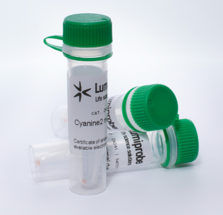 CYANINE2 ДЛЯ ДВУМЕРНОГО ЭЛЕКТРОФОРЕЗА, 5 NMOL, 1A041