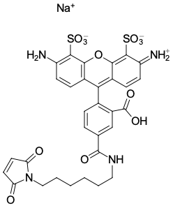 AF 488 МАЛЕИМИД, 5 MG, 21880