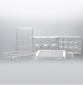 ПЛАНШЕТ ДЛЯ КУЛЬТИВИРОВАНИЯ КЛЕТОК, 12-ЛУНОЧНЫЙ, ИНД. УПАКОВКА, ДЛЯ АДГЕЗИВНЫХ КУЛЬТУР, JETBIOFIL