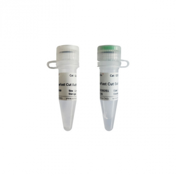 ЭНДОНУКЛЕАЗА РЕСТРИКЦИИ SWEFAST CUT ECORI, 500 РЕАКЦИЙ