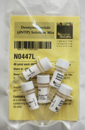 СМЕСЬ ДЕЗОКСИНУКЛЕОТИДОВ (ДАТФ, ДЦТФ, ДГТФ И ДТТФ) (10 ММ, 40 МКМОЛЬ), АРТ. N0447 L, NEW ENGLAND BIOLABS