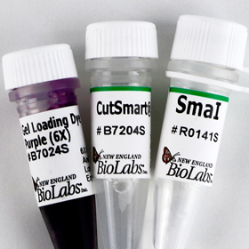 ДНК МОДИФИЦИРУЮЩИЙ ФЕРМЕНТ ЭНДОНУКЛЕАЗА РЕСТРИКЦИИ SMAI, РЕКОМБИНАНТНАЯ (20 000 Е.А./МЛ, 2 000 Е.А.), АРТ. R0141 S, NEW ENGLAND BIOLABS