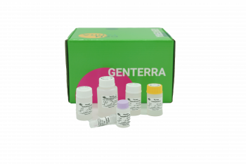 НАБОР ДЛЯ ЭЛЮЦИИ ДНК ИЗ АГАРОЗНОГО ГЕЛЯ GENTASPIN DNA GEL ELUTION, 250 ВЫДЕЛЕНИЙ