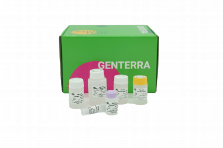 НАБОР ДЛЯ ЭЛЮЦИИ ДНК ИЗ АГАРОЗНОГО ГЕЛЯ GENTASPIN DNA GEL ELUTION, 250 ВЫДЕЛЕНИЙ