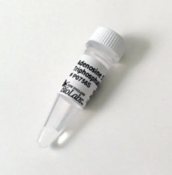 АДЕНОЗИН 5'-ТРИФОСФАТ (АТФ) (10 ММ, 1 МЛ), АРТ. P0756 S, NEW ENGLAND BIOLABS