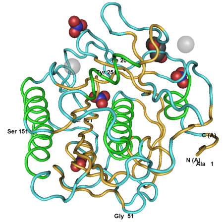 ПРОТЕИНАЗА К (УПАК. 500 МГ.)