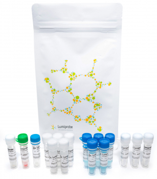 НАБОР ДЛЯ ИССЛЕДОВАНИЯ ПРОЛИФЕРАЦИИ КЛЕТОК С ПОМОЩЬЮ EDU, 50 ASSAYS, 2S272,