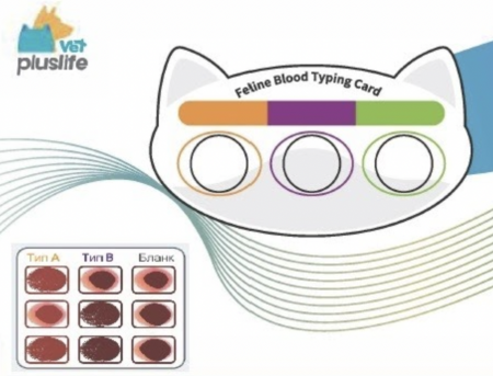 ТЕСТЫ ГРУПП КРОВИ КОШЕК (УПАКОВКА 5 ТЕСТОВ) - PLUSLIFE FELINE BLOOD TYPING CARD, АРТ. 3040001601