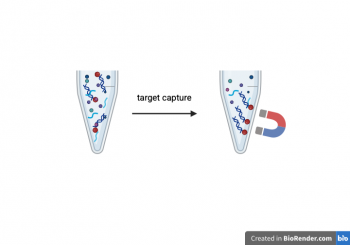 МАГНИТНЫЕ ЧАСТИЦЫ EXTRAMAG