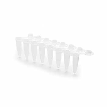 ПРОБИРКИ ДЛЯ ПЦР В СТРИПАХ, СТАНДАРТНЫЙ ПРОФИЛЬ, ПРОЗРАЧНЫЙ, 200 МКЛ., 1Х8, С ПРИКРЕПЛЕННЫМИ КРЫШКАМИ (125 ШТ.УП.)