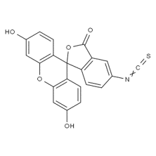 РЕАГЕНТ FITC, 50 МГ, SOLARBIO, F8070