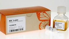 T5 ЭКЗОНУКЛЕАЗА (10 000 Е.А./МЛ, 1 000 Е.А.), АРТ. M0663 S, NEW ENGLAND BIOLABS