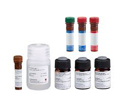 НАБОР ДЛЯ ОКРАШИВАНИЯ ALEXA FLUOR® 647 FOXP3, CD4, CD25, АРТ. 560132, BD BIOSCIENCES