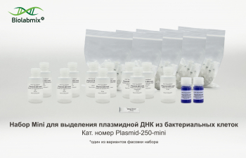 НАБОР MINI ДЛЯ ВЫДЕЛЕНИЯ ПЛАЗМИДНОЙ ДНК ИЗ БАКТЕРИАЛЬНЫХ КЛЕТОК, 250 РЕАКЦИЙ