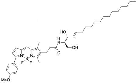 BDP® TMR ЦЕРАМИД, 250 UG, 3058-250UG