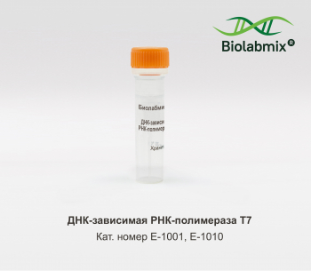 ДНК-ЗАВИСИМАЯ РНК-ПОЛИМЕРАЗА Т7