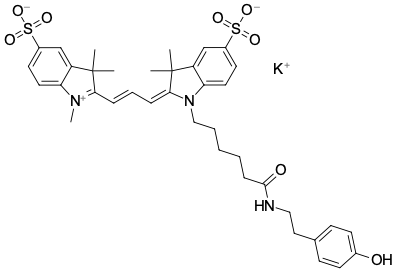 SULFO-CYANINE3 ТИРАМИД, 1 MG, 3718-1MG