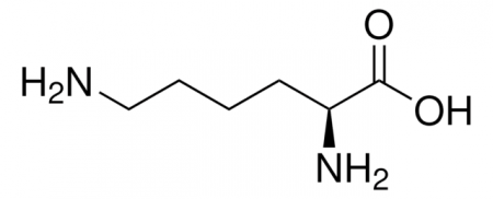 L-ЛИЗИН (100Г) /L-LYSINE