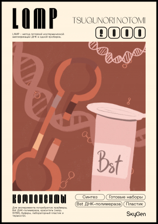 ПОСТЕР LAMP, SKYGEN